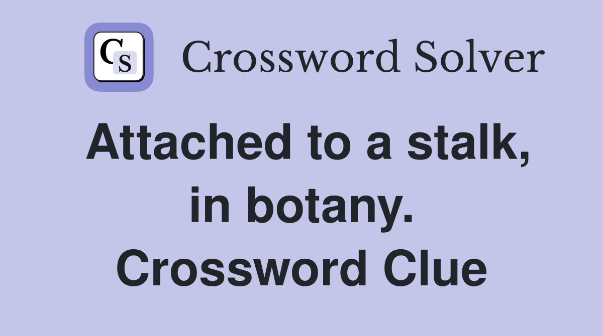 Attached to a stalk, in botany. Crossword Clue