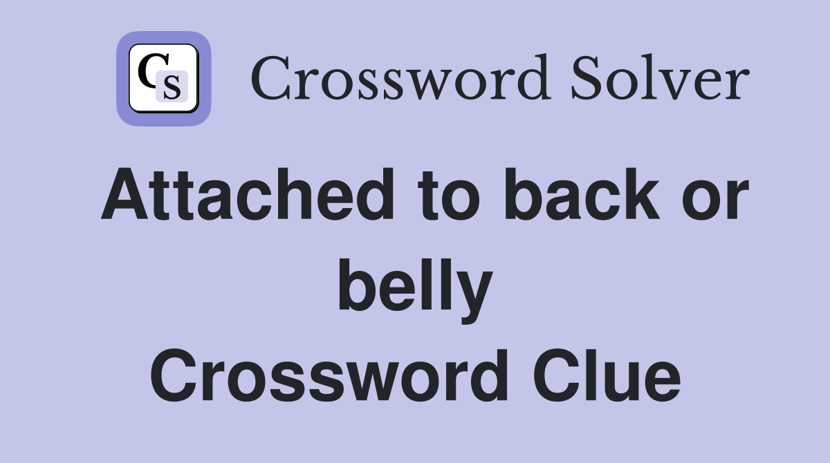 Attached to back or belly Crossword Clue