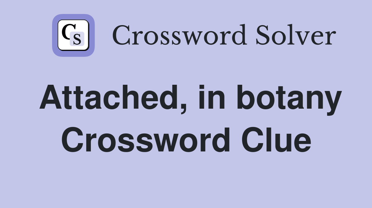 Attached, in botany Crossword Clue