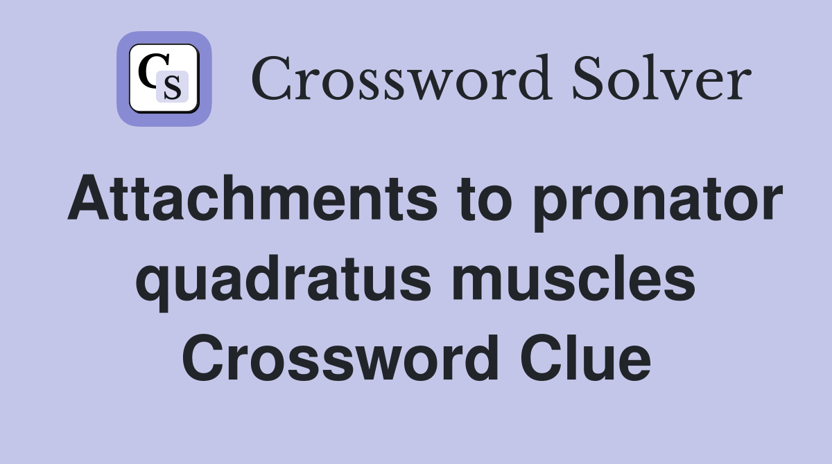 Attachments to pronator quadratus muscles Crossword Clue