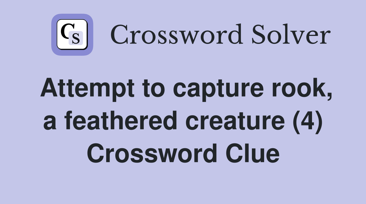 Attempt to capture rook, a feathered creature (4) Crossword Clue