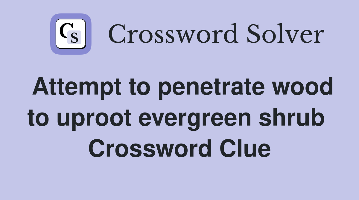 Attempt to penetrate wood to uproot evergreen shrub  Crossword Clue