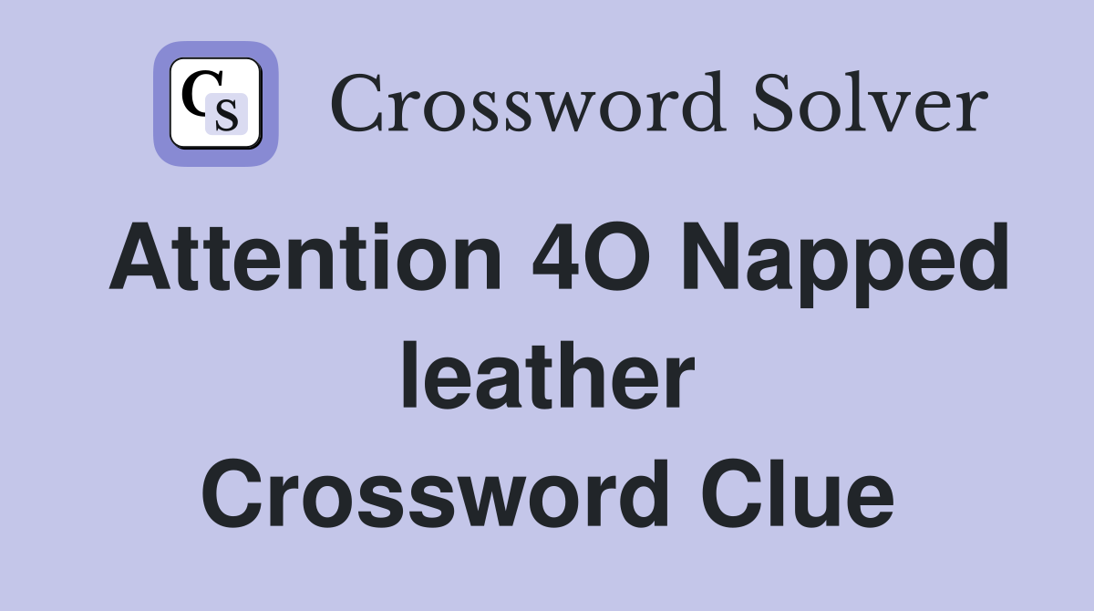 Attention 4O Napped leather Crossword Clue