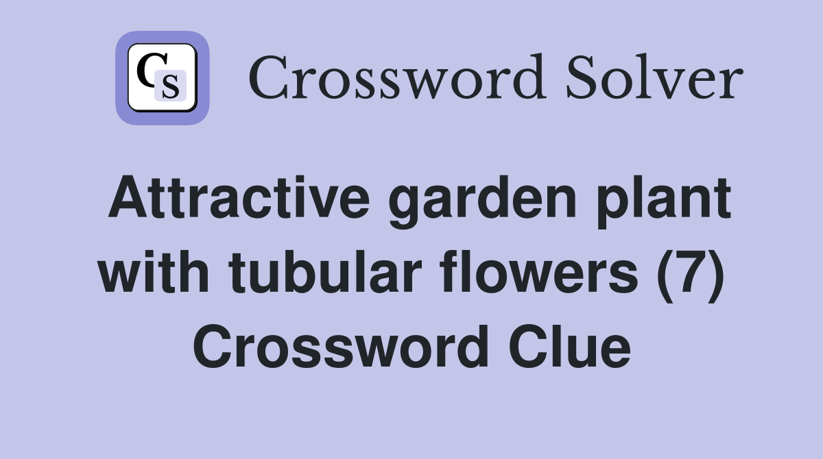 Attractive garden plant with tubular flowers (7) Crossword Clue
