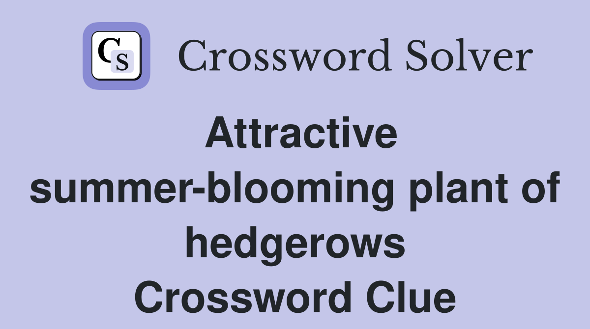 Attractive summer-blooming plant of hedgerows Crossword Clue