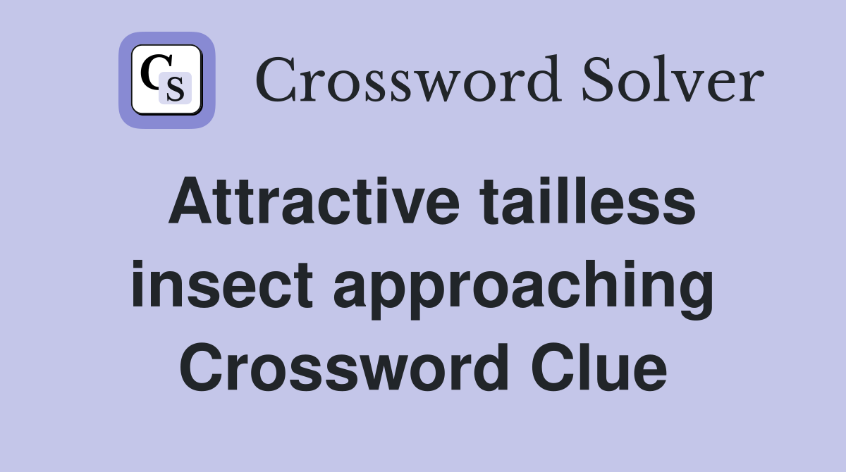 Attractive tailless insect approaching Crossword Clue