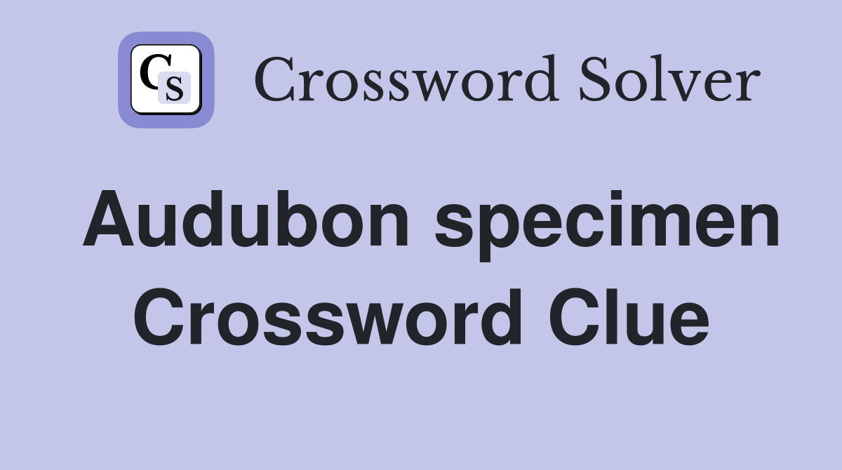 Audubon specimen Crossword Clue