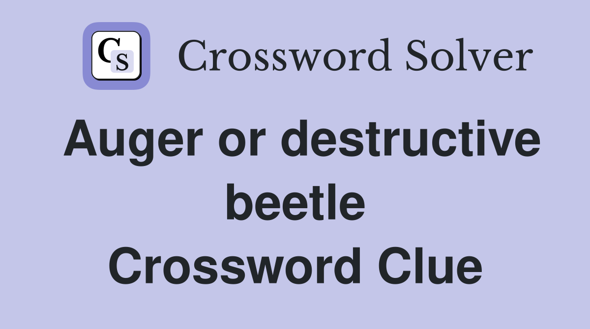 Auger or destructive beetle Crossword Clue