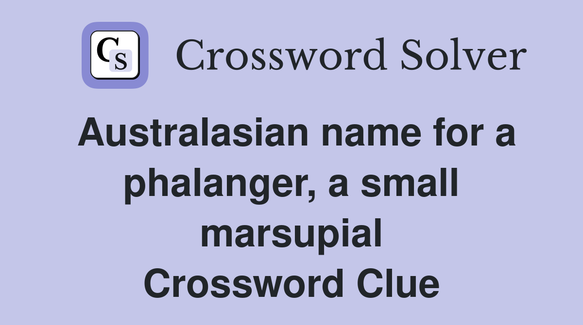 Australasian name for a phalanger, a small marsupial Crossword Clue
