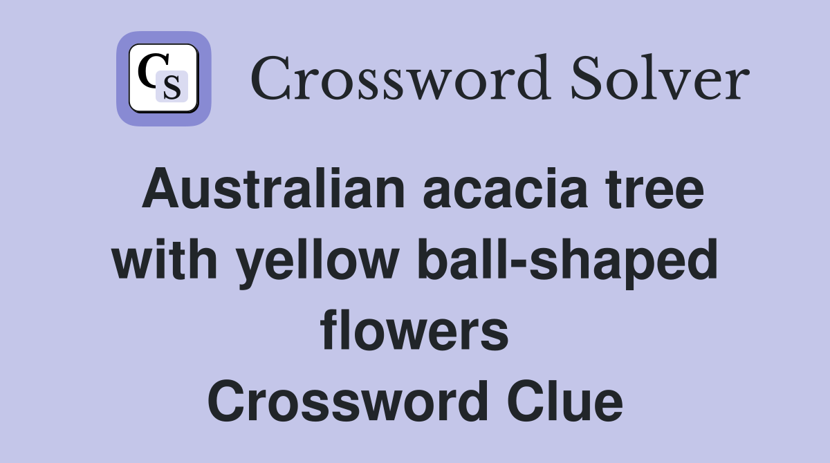 Australian acacia tree with yellow ball-shaped flowers Crossword Clue