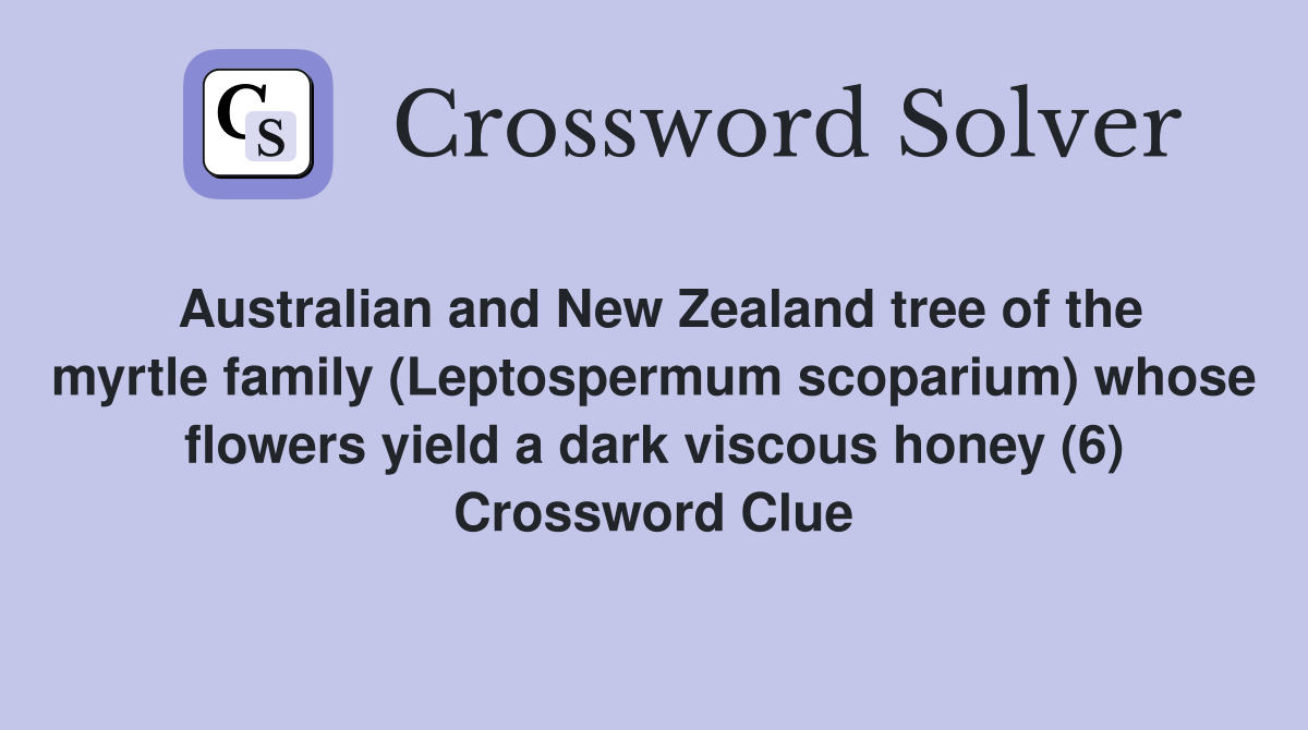 Australian and New Zealand tree of the myrtle family (Leptospermum