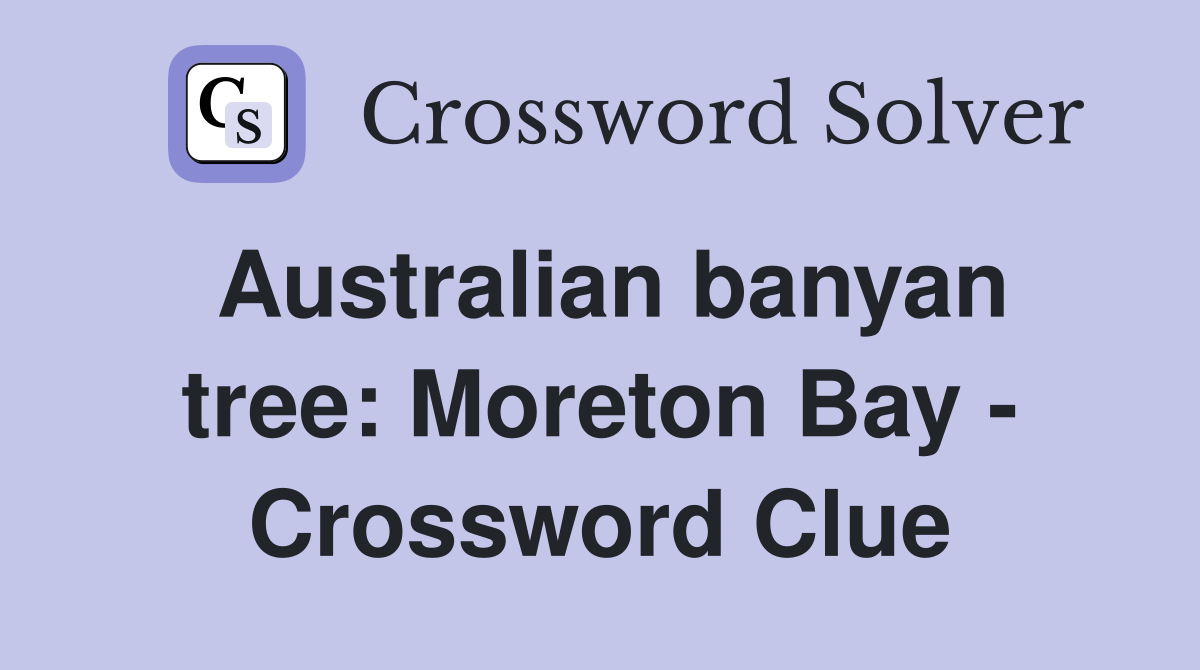 Australian banyan tree: Moreton Bay - Crossword Clue
