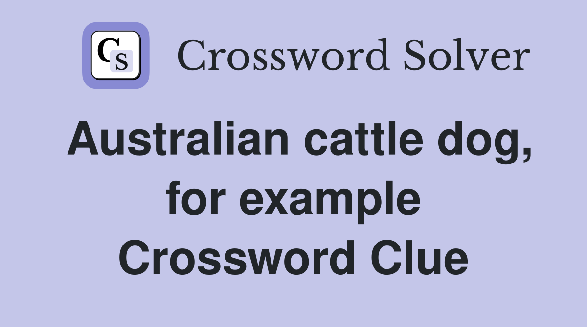 Australian cattle dog, for example Crossword Clue