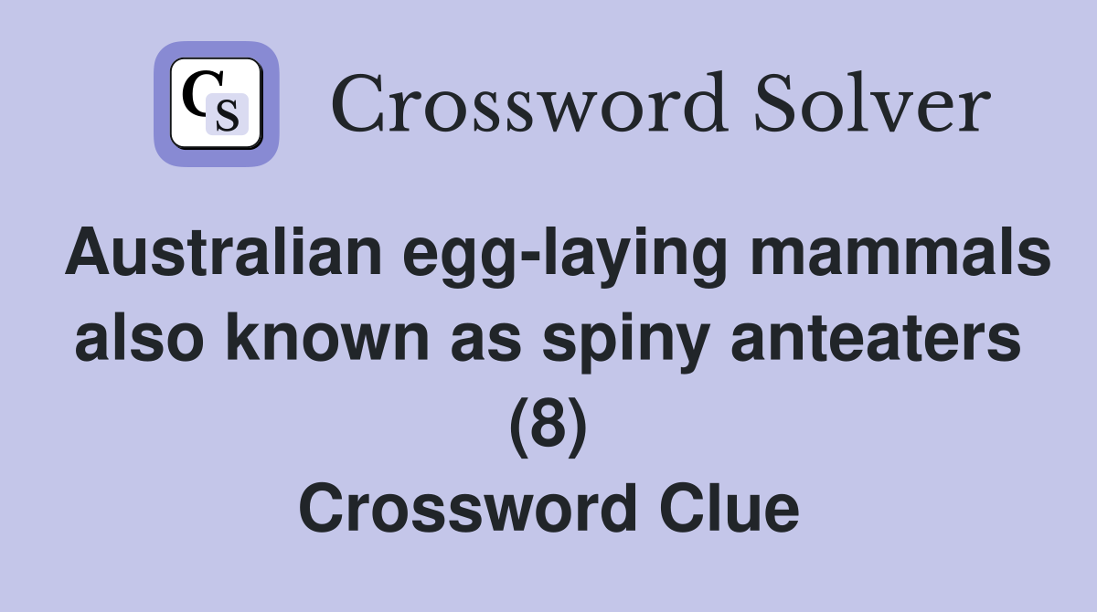 Australian egg-laying mammals also known as spiny anteaters (8) Crossword Clue