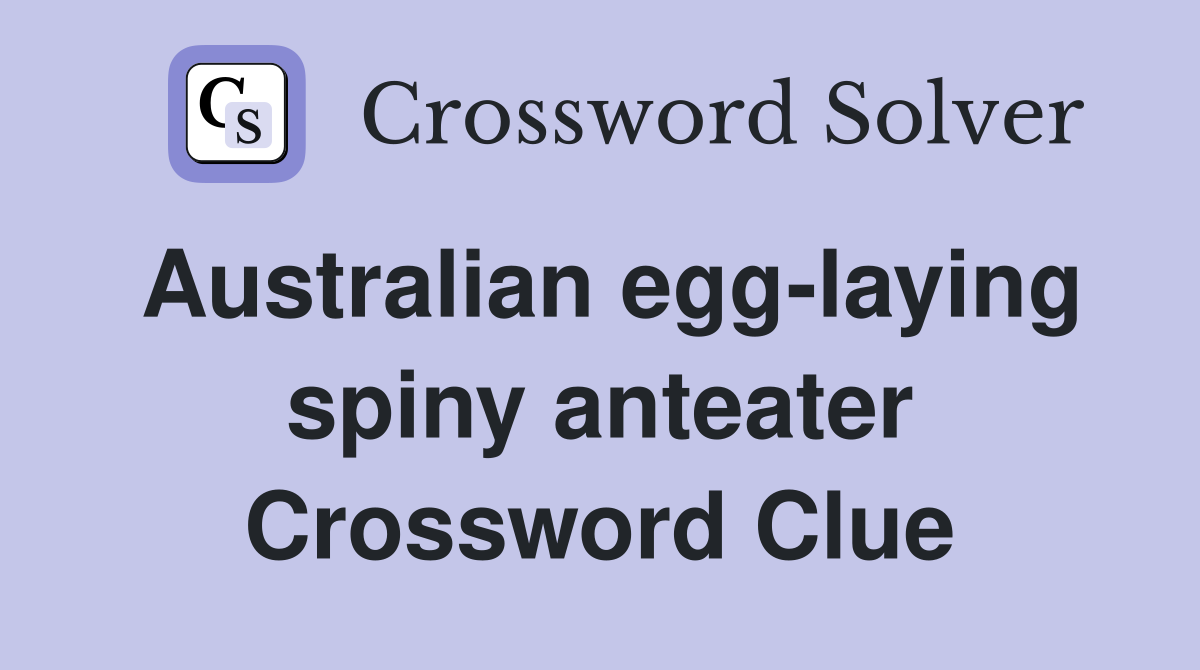Australian egg-laying spiny anteater Crossword Clue