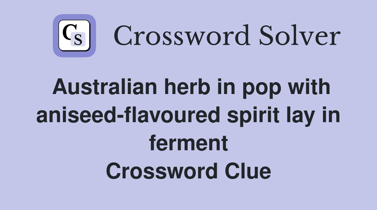 Australian herb in pop with aniseed-flavoured spirit lay in ferment Crossword Clue