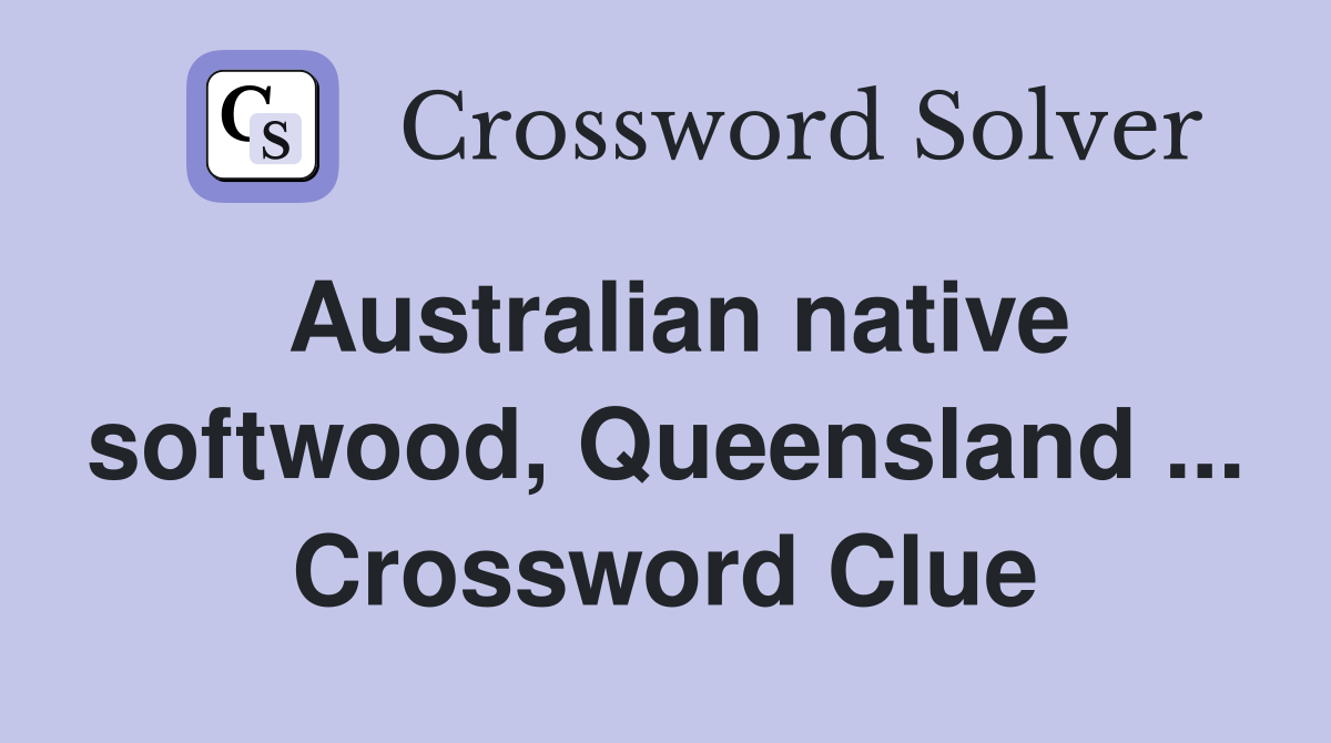Australian native softwood, Queensland ... Crossword Clue