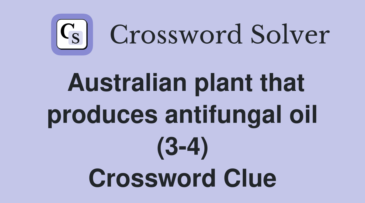 Australian plant that produces antifungal oil (3 4) Crossword Clue
