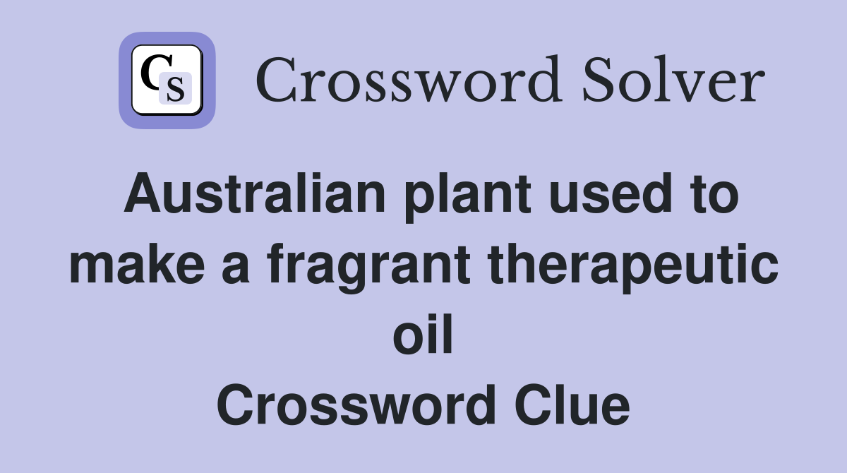 Australian plant used to make a fragrant therapeutic oil Crossword Clue