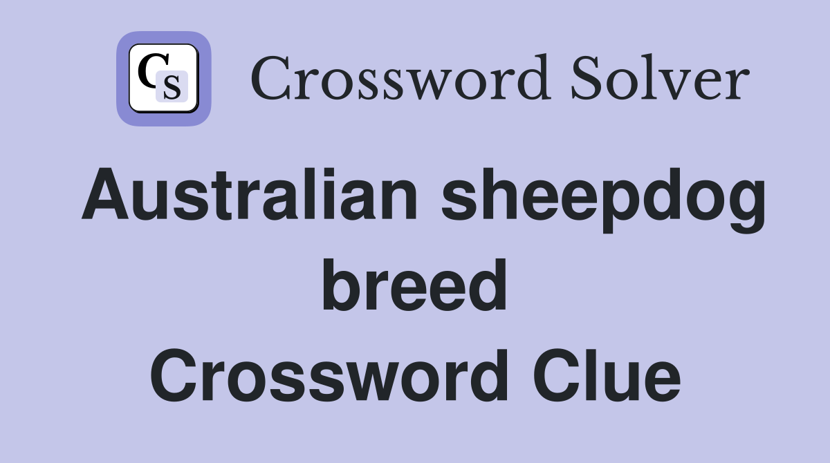 Australian sheepdog breed Crossword Clue