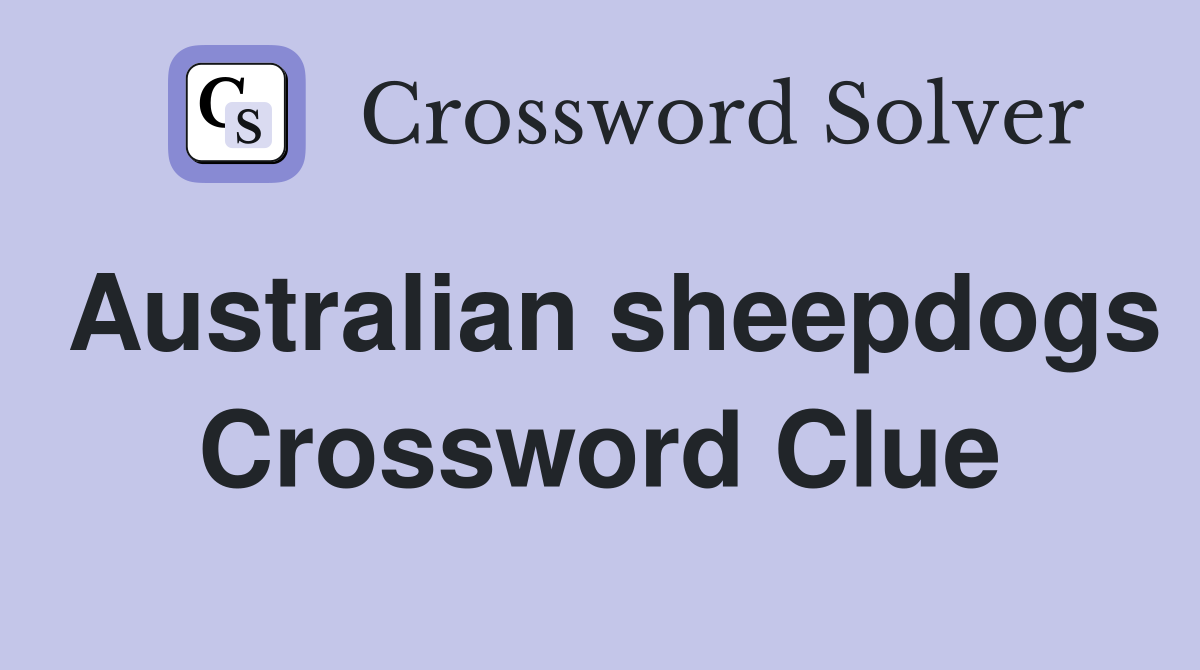 Australian sheepdogs Crossword Clue