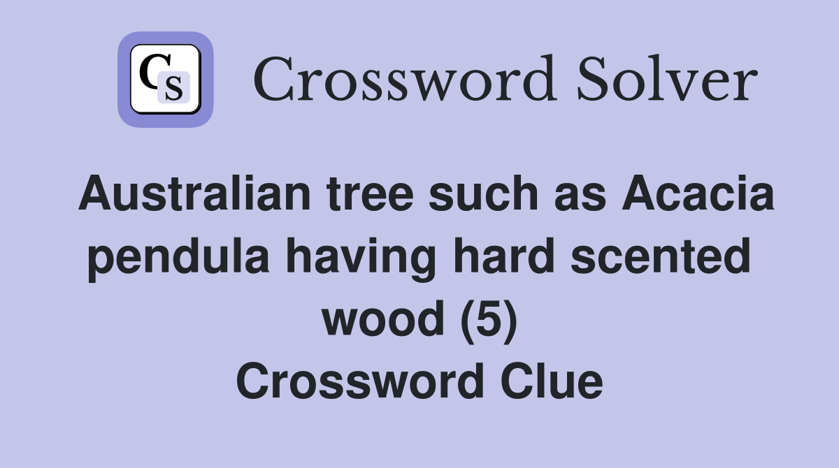 Australian tree such as Acacia pendula having hard scented wood (5) Crossword Clue