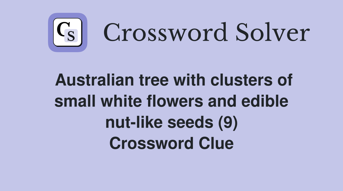 Australian tree with clusters of small white flowers and edible nut-like seeds (9) Crossword Clue