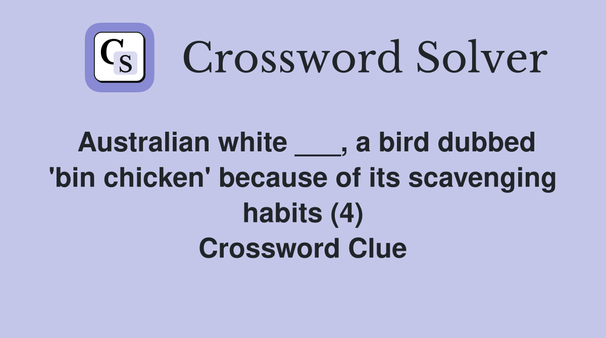 Australian white ___, a bird dubbed 'bin chicken' because of its scavenging habits (4) Crossword Clue