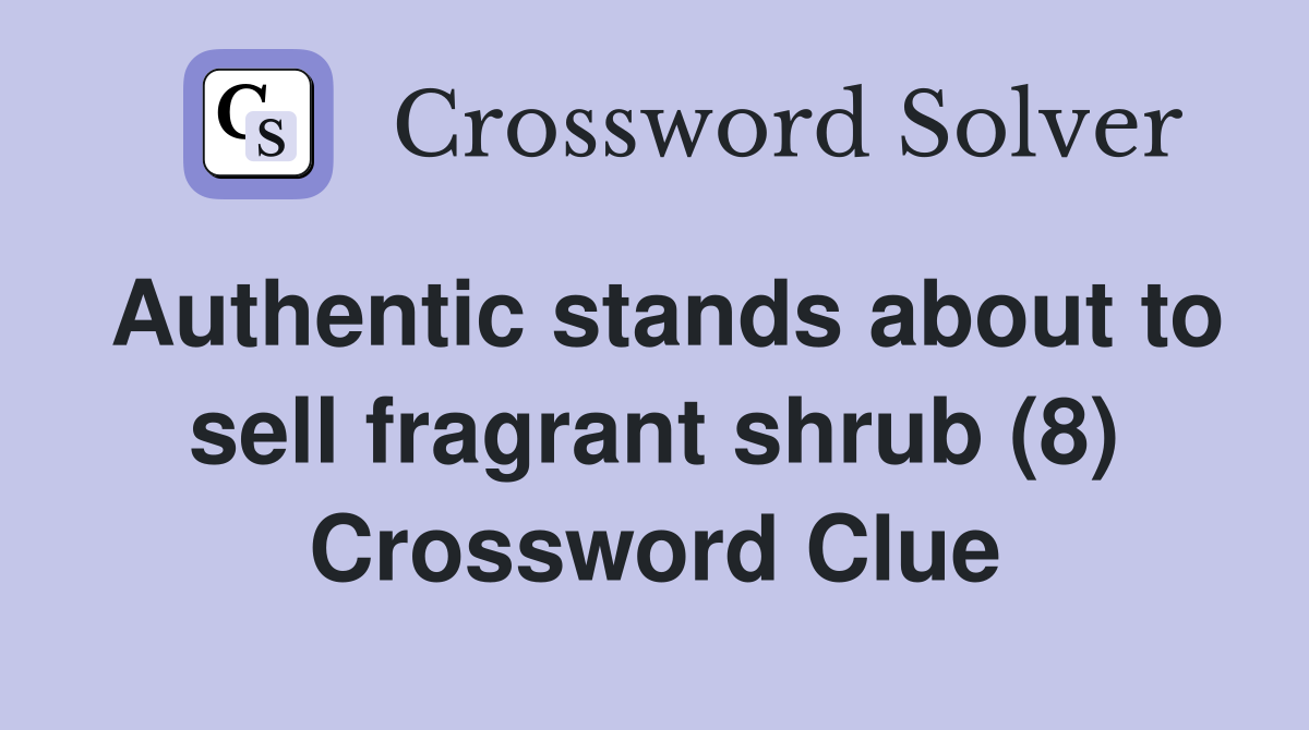 Authentic stands about to sell fragrant shrub (8) Crossword Clue
