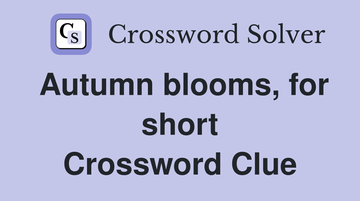 Autumn blooms, for short Crossword Clue