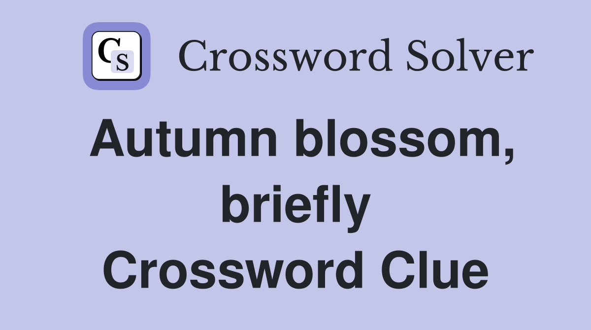 Autumn blossom, briefly Crossword Clue