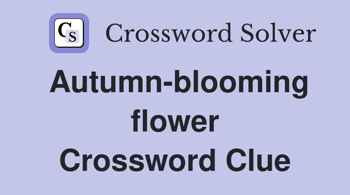 Autumn-blooming flower Crossword Clue