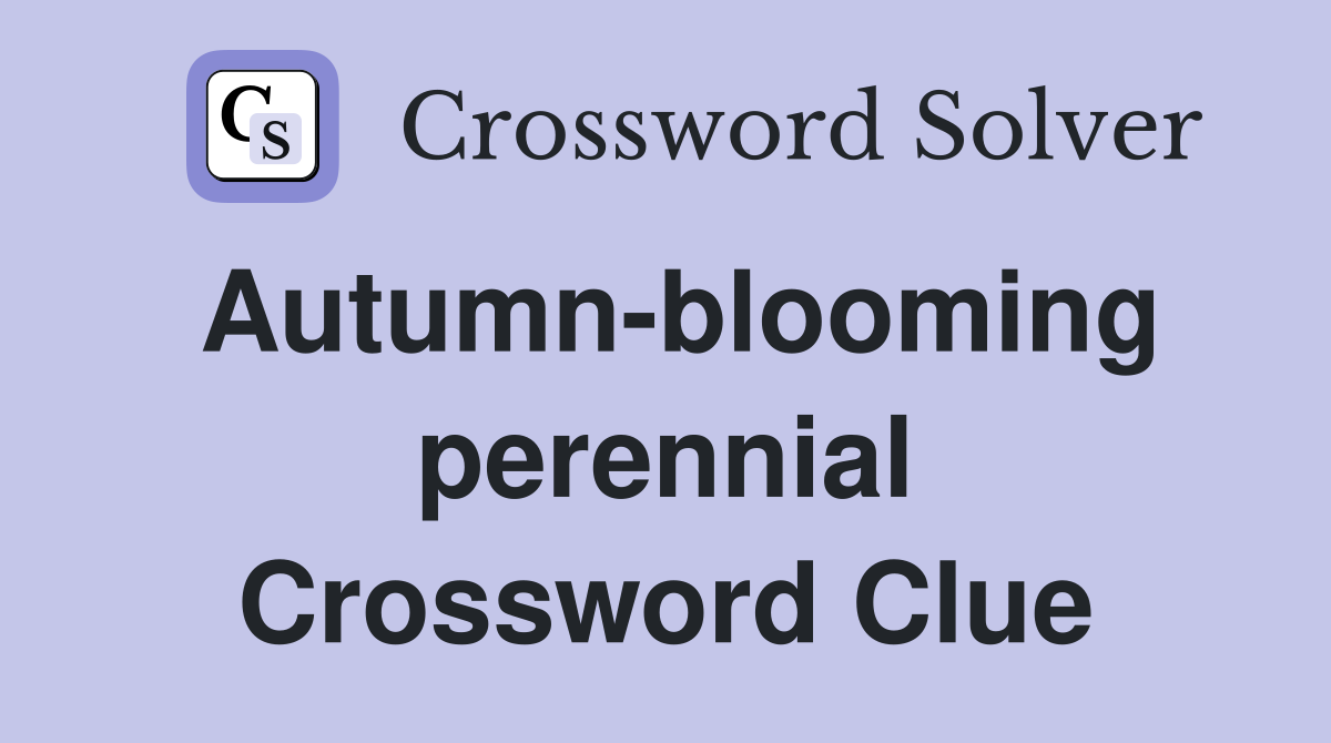 Autumn-blooming perennial Crossword Clue