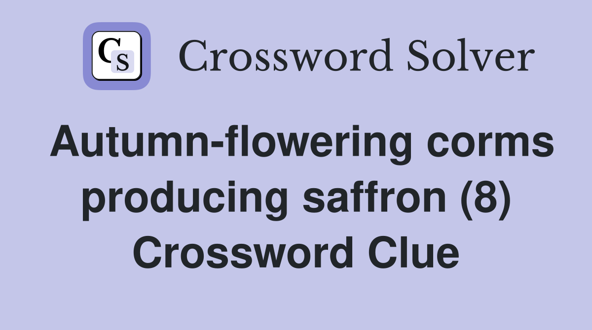 Autumn-flowering corms producing saffron (8) Crossword Clue