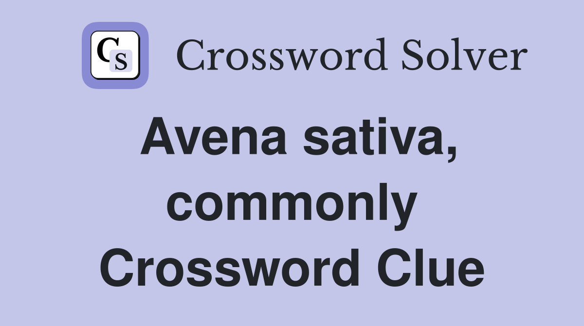 Avena sativa, commonly Crossword Clue