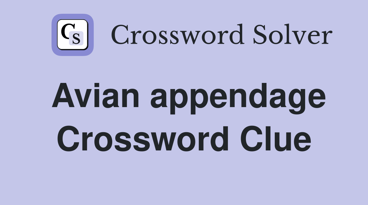 Avian appendage Crossword Clue