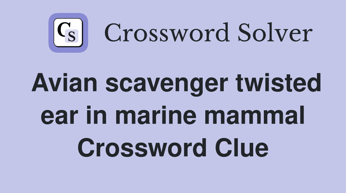 Avian scavenger twisted ear in marine mammal Crossword Clue