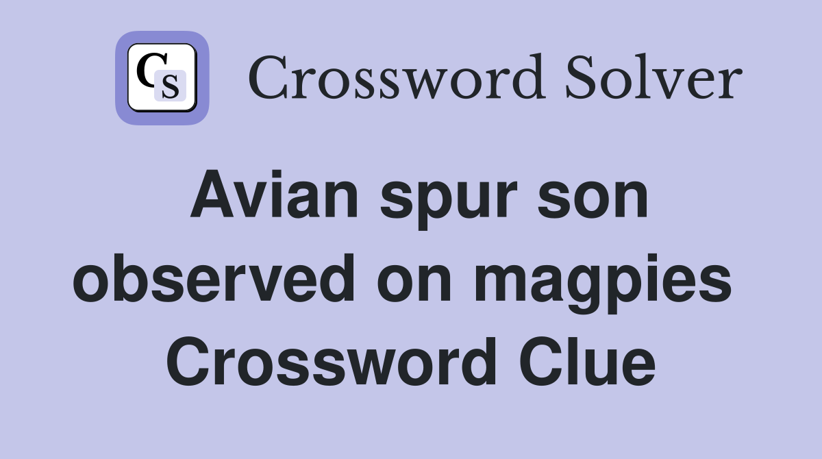 Avian spur son observed on magpies  Crossword Clue
