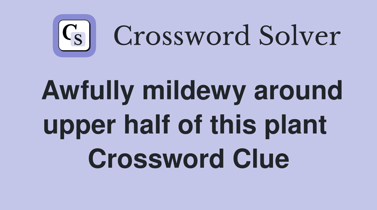 Awfully mildewy around upper half of this plant  Crossword Clue