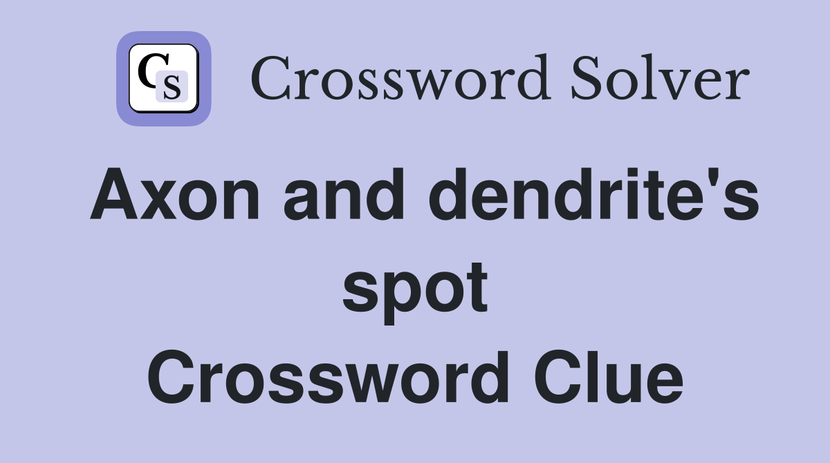Axon and dendrite's spot Crossword Clue