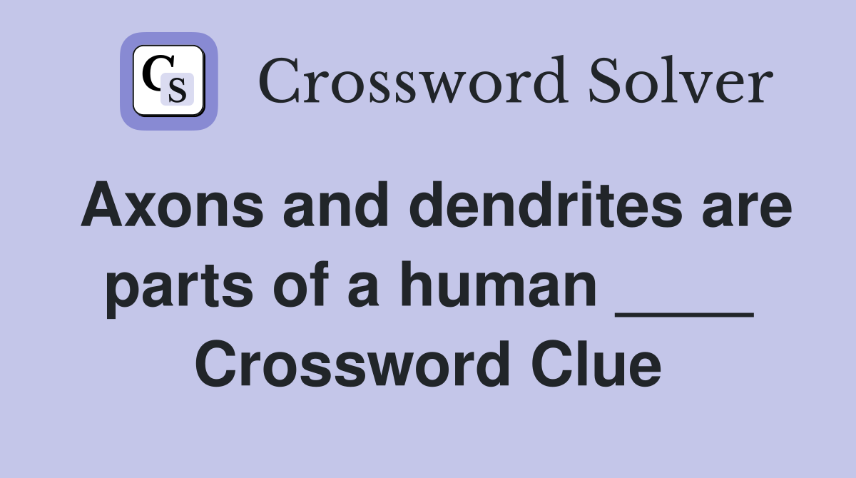 Axons and dendrites are parts of a human ____ Crossword Clue