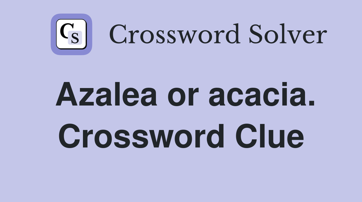 Azalea or acacia. Crossword Clue
