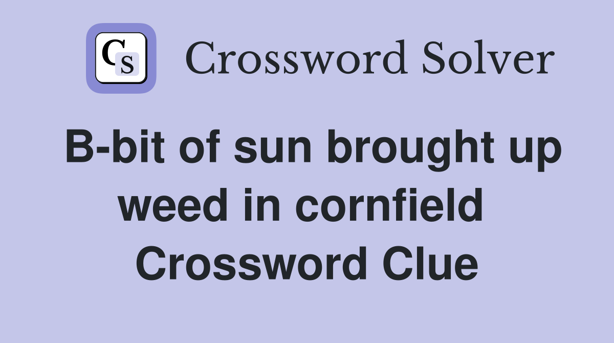B-bit of sun brought up weed in cornfield  Crossword Clue