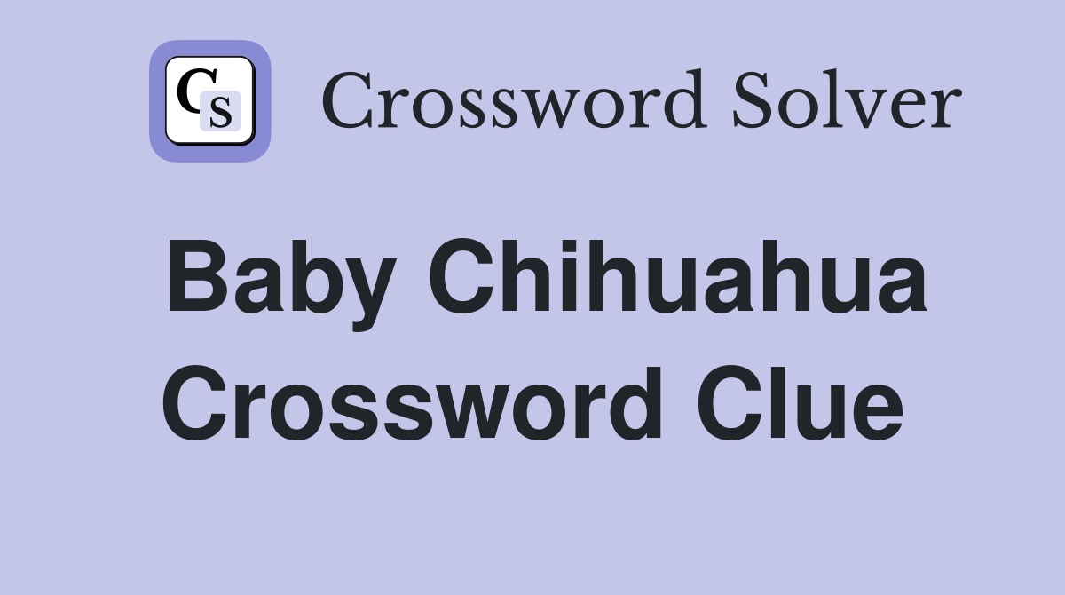 Baby Chihuahua Crossword Clue