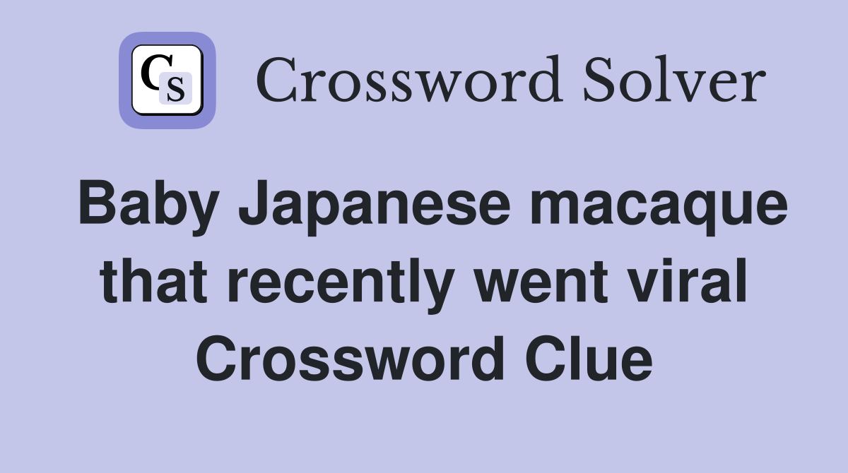 Baby Japanese macaque that recently went viral Crossword Clue
