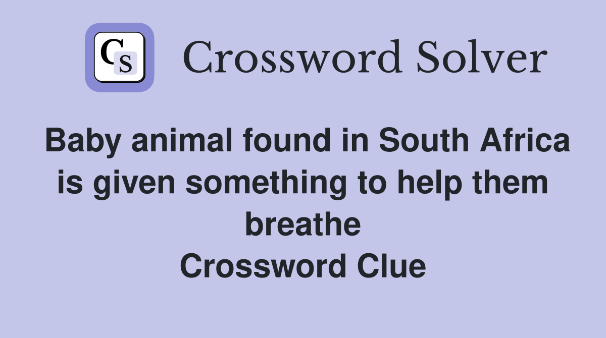 Baby animal found in South Africa is given something to help them breathe Crossword Clue