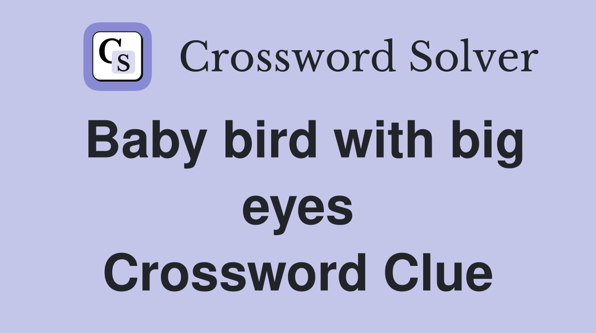 Baby bird with big eyes Crossword Clue