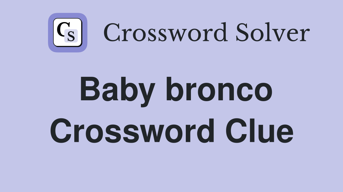 Baby bronco Crossword Clue