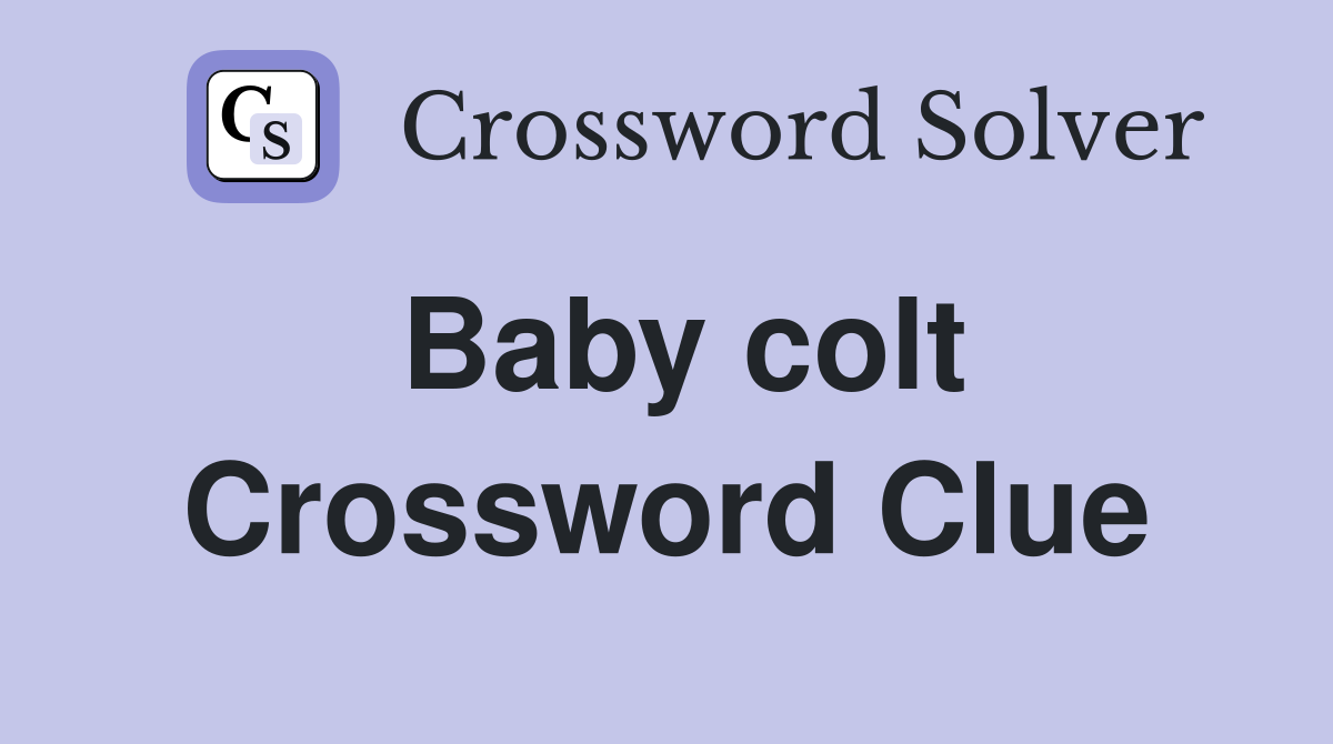 Baby colt Crossword Clue