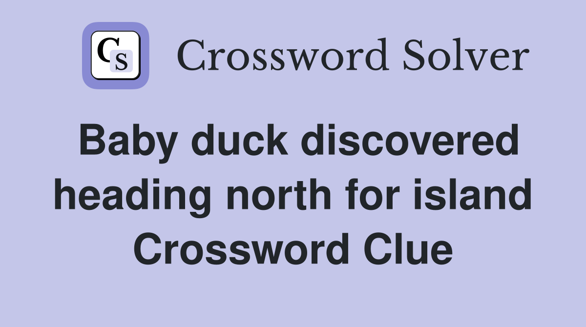 Baby duck discovered heading north for island Crossword Clue